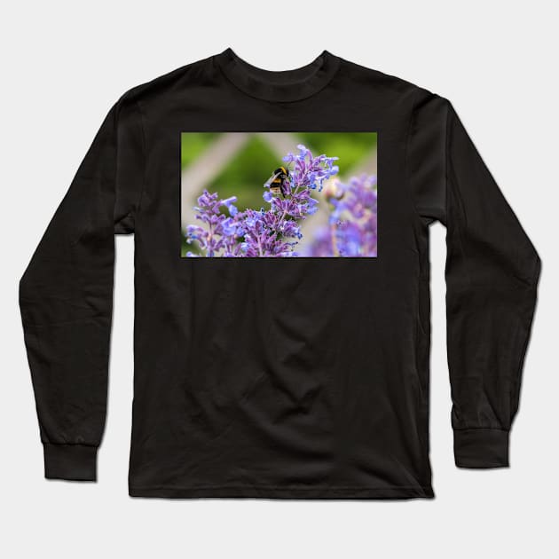 Bumble Bee collecting pollen Long Sleeve T-Shirt by Russell102